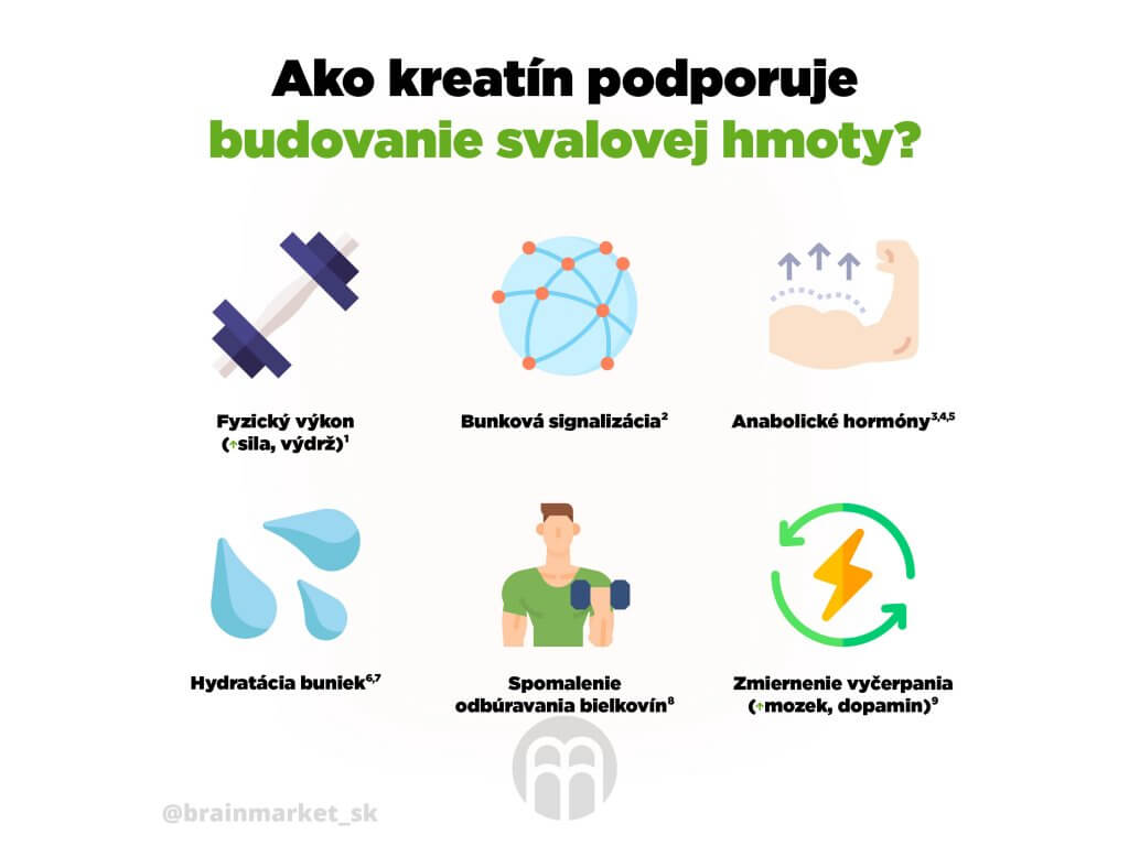 Ako kreatín podporuje budovanie svalovej hmoty