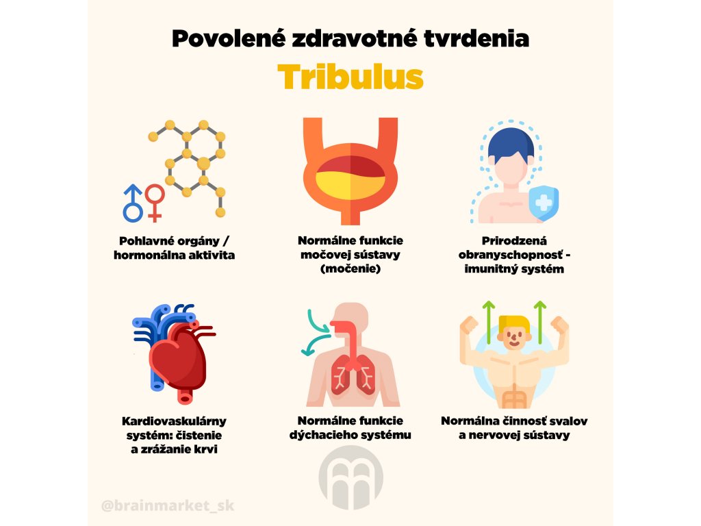 Testamento infografika