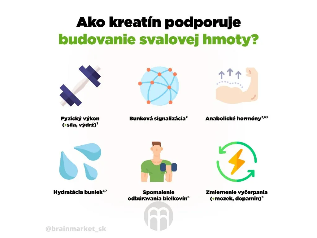 Čo kreatín monohydrát podporuje