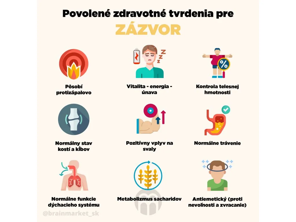 BrainMax Digestive Magic - Zázvor