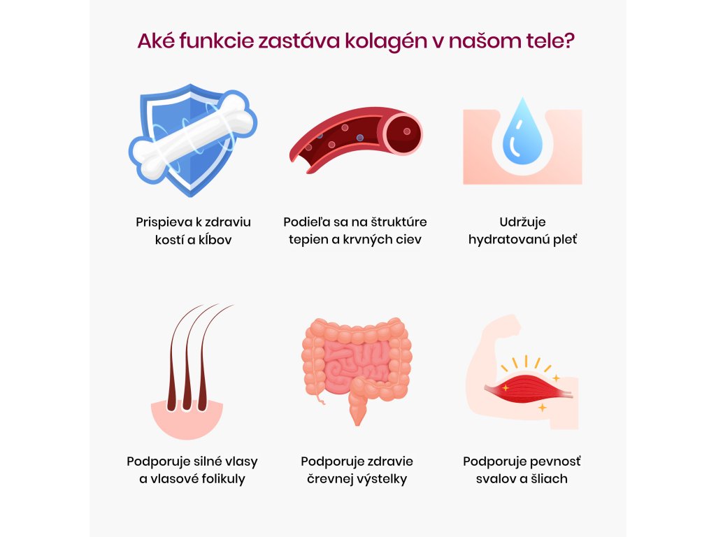 Aké funkcie zastáva kolagén v našom tele